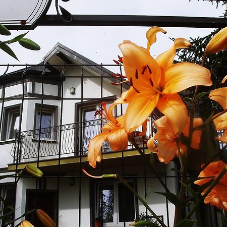 Villa Hasaba Krościenko Dış mekan fotoğraf
