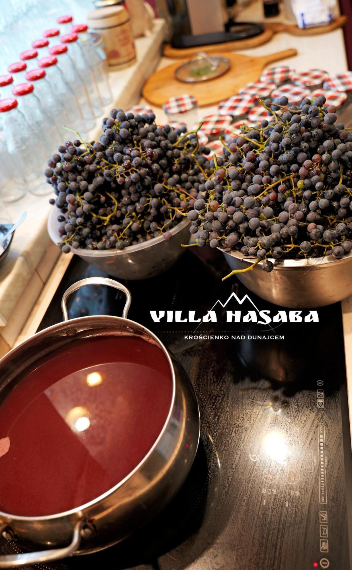 Villa Hasaba Krościenko Dış mekan fotoğraf