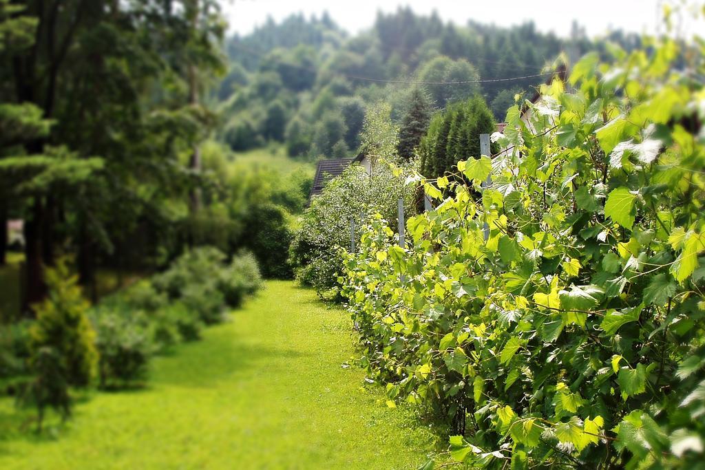 Villa Hasaba Krościenko Dış mekan fotoğraf